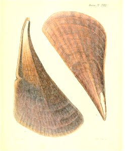 n79_w1150