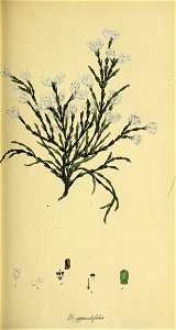 n118_w1150