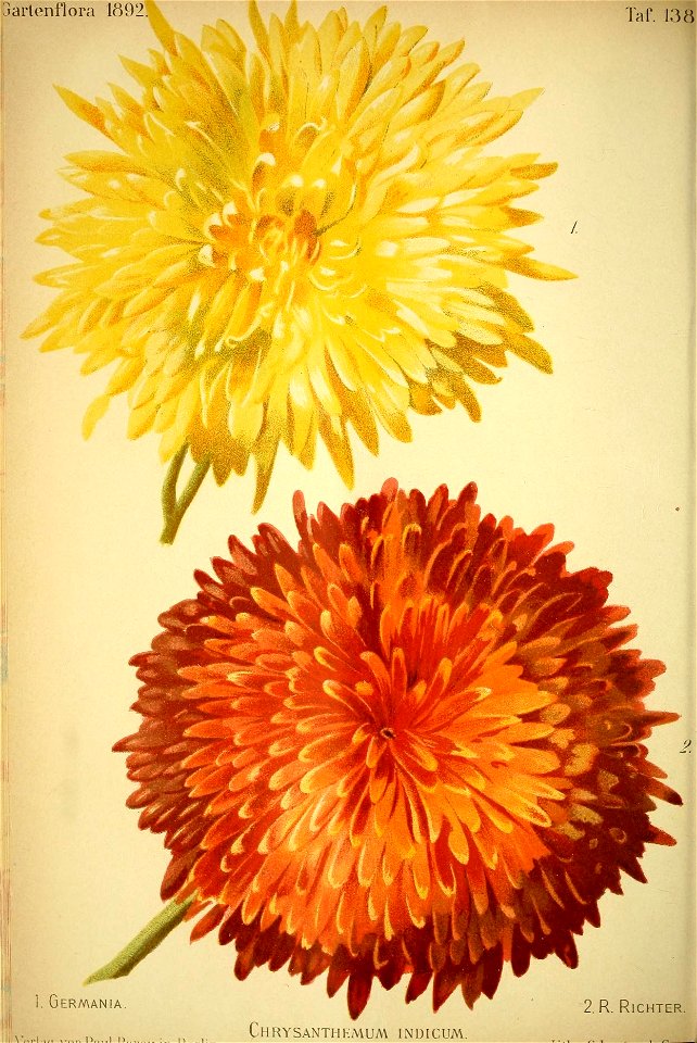 n611_w1150