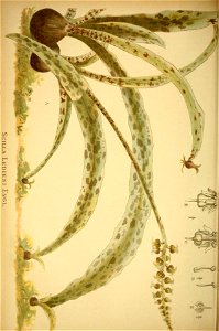 n177_w1150