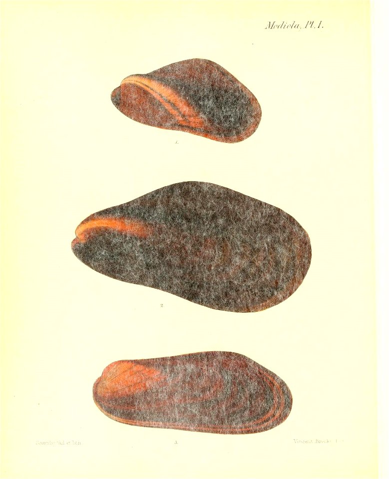 n413_w1150