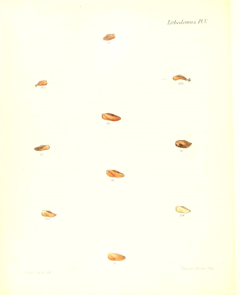 n477_w1150