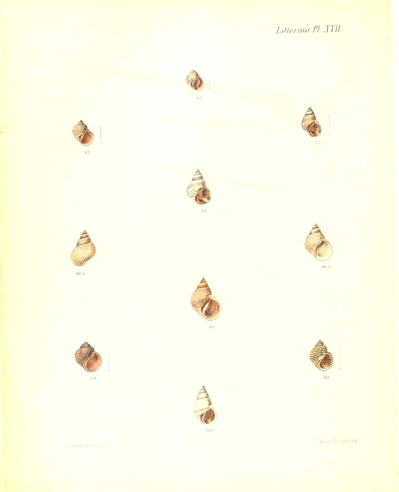 n269_w1150