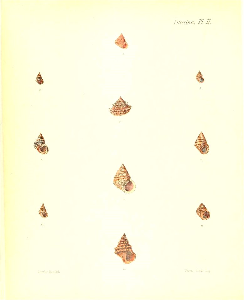 n209_w1150