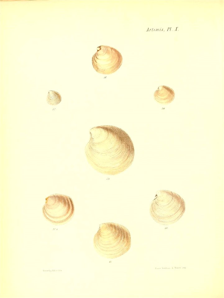 n255_w1150