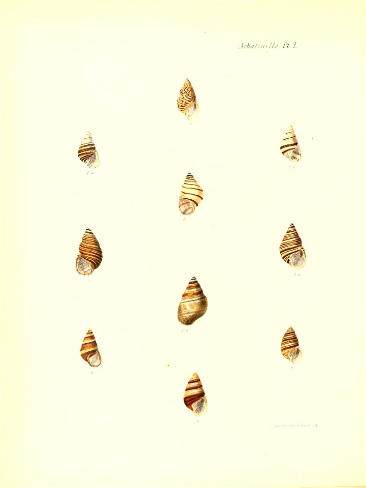 n191_w1150