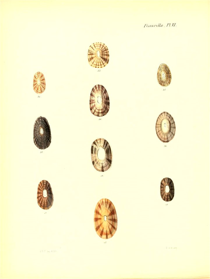 n123_w1150