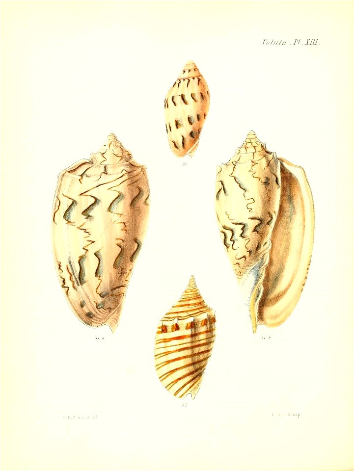 n59_w1150