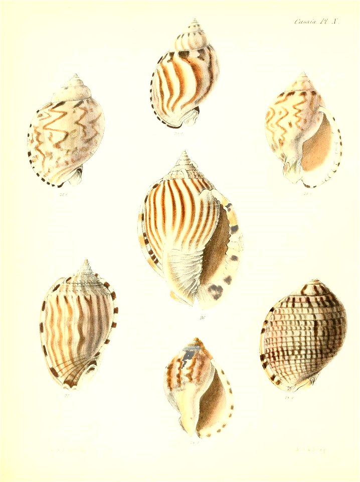 n553_w1150