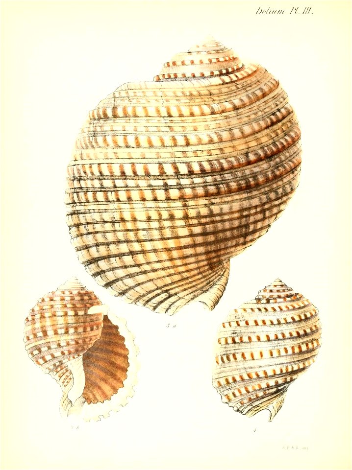n489_w1150
