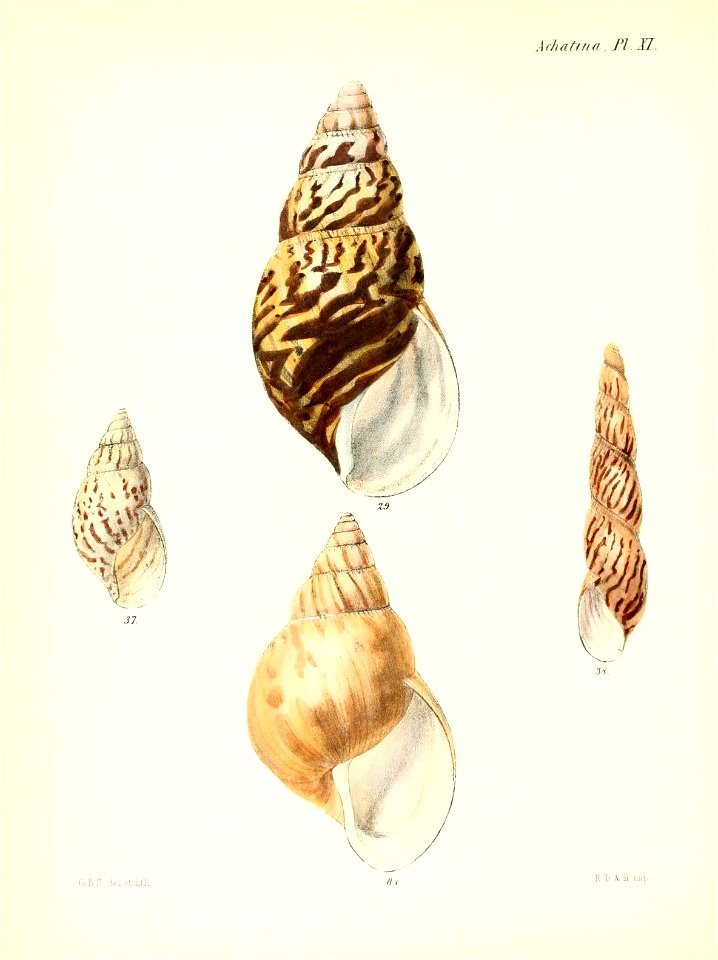 n423_w1150