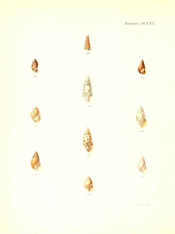 n289_w1150