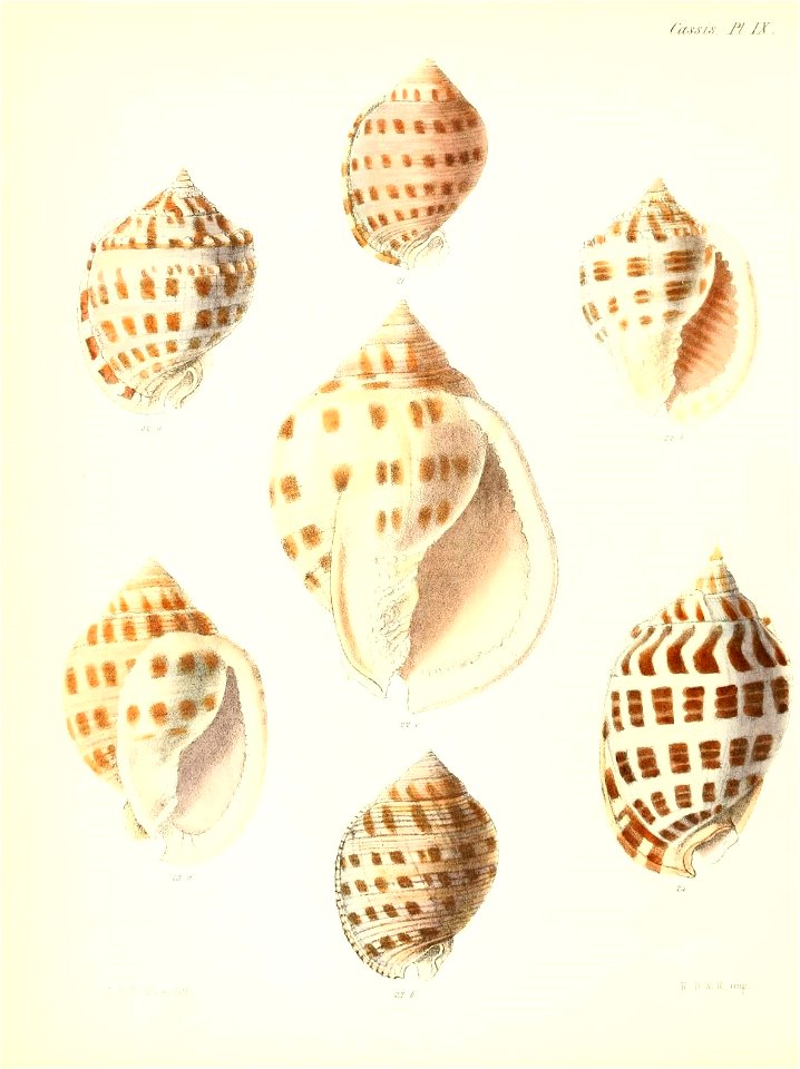 n549_w1150