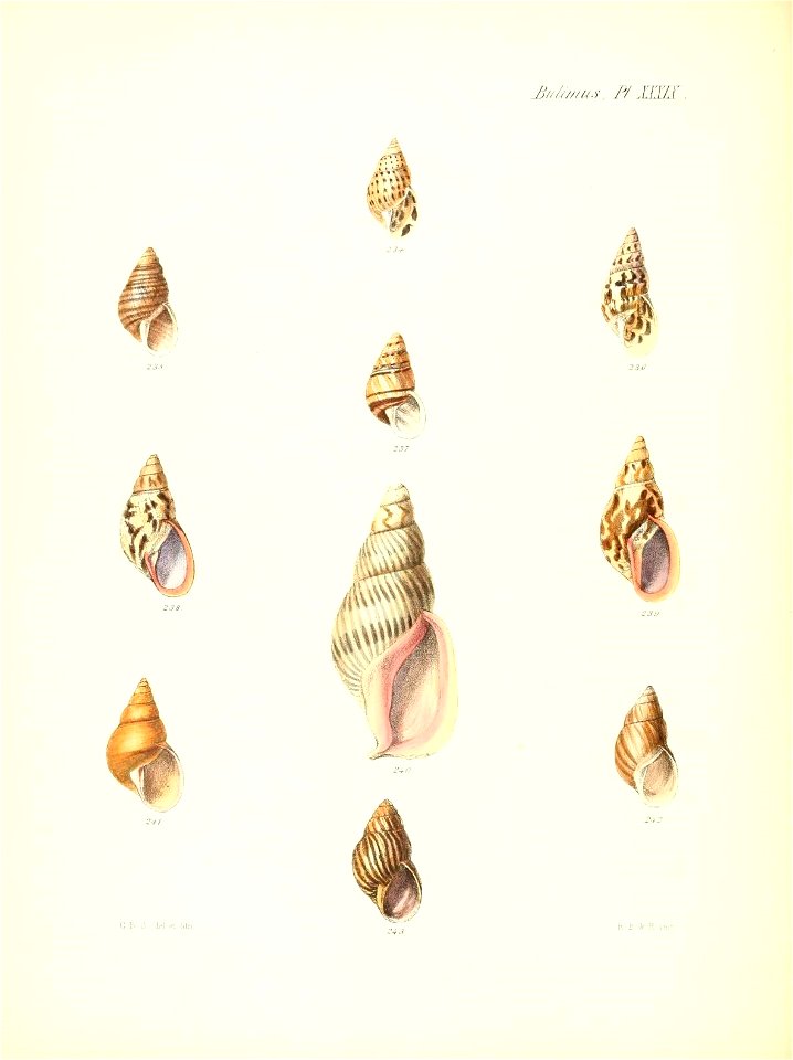 n165_w1150