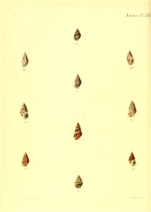 n583_w1150