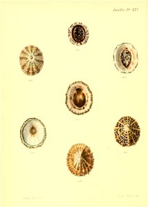 n459_w1150