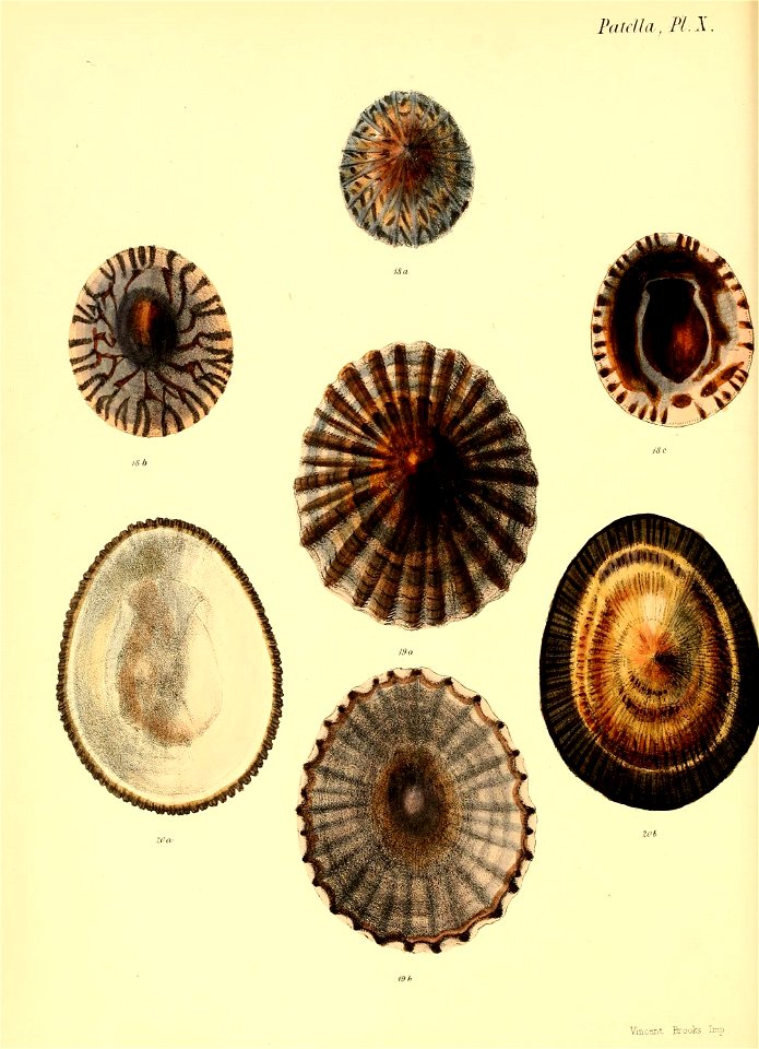 n399_w1150