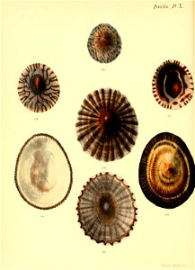 n399_w1150