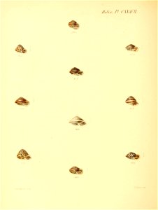 n569_w1150