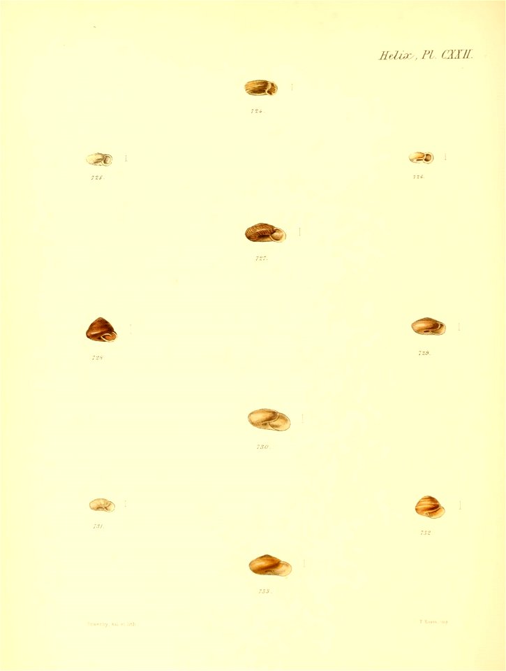 n507_w1150