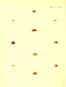 n507_w1150