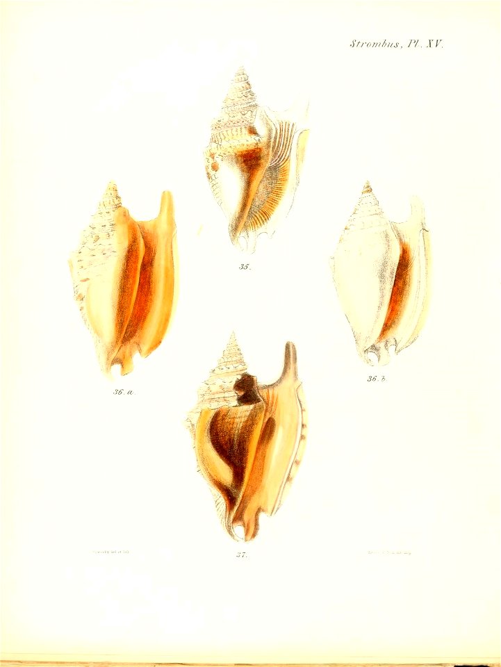 n497_w1150
