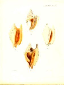 n497_w1150