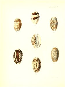 n373_w1150
