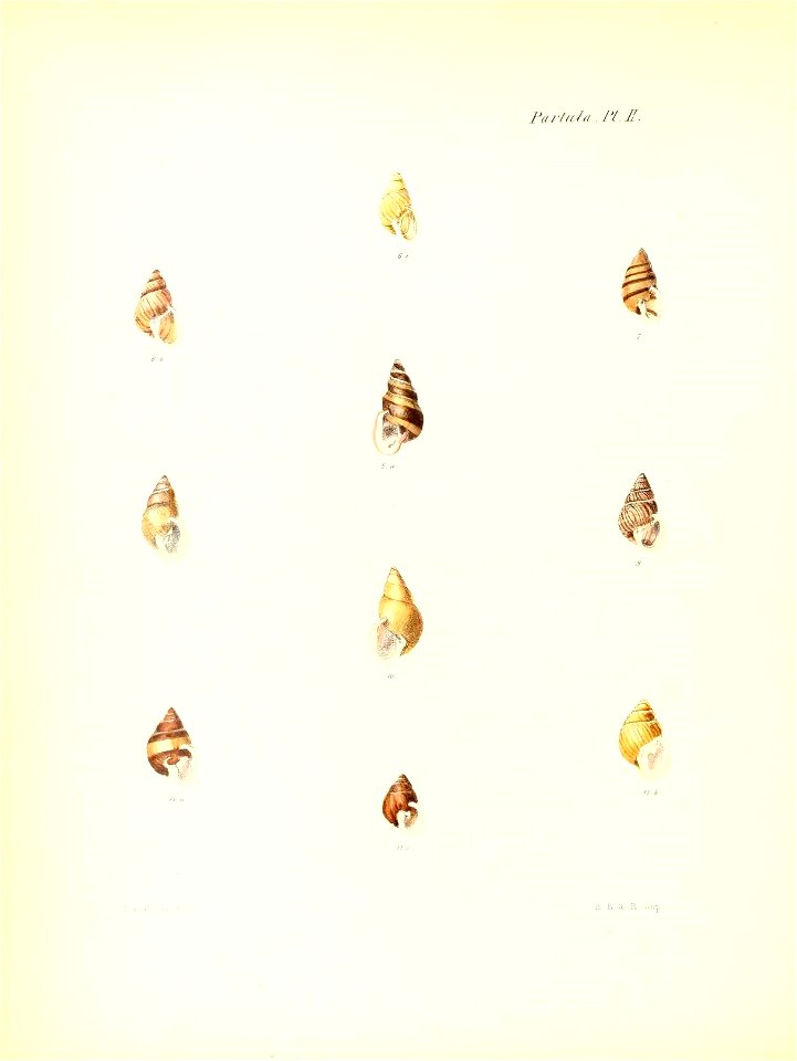 n175_w1150
