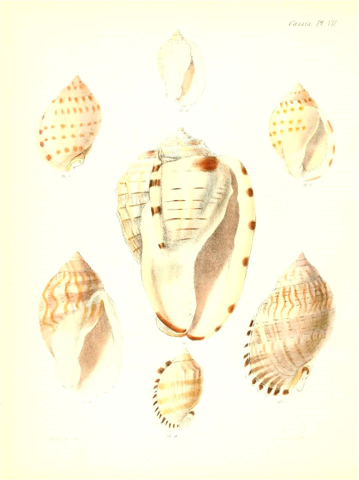 n541_w1150