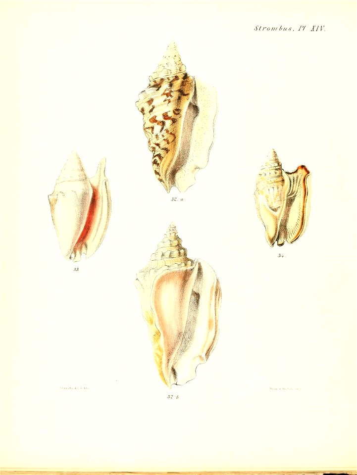 n493_w1150