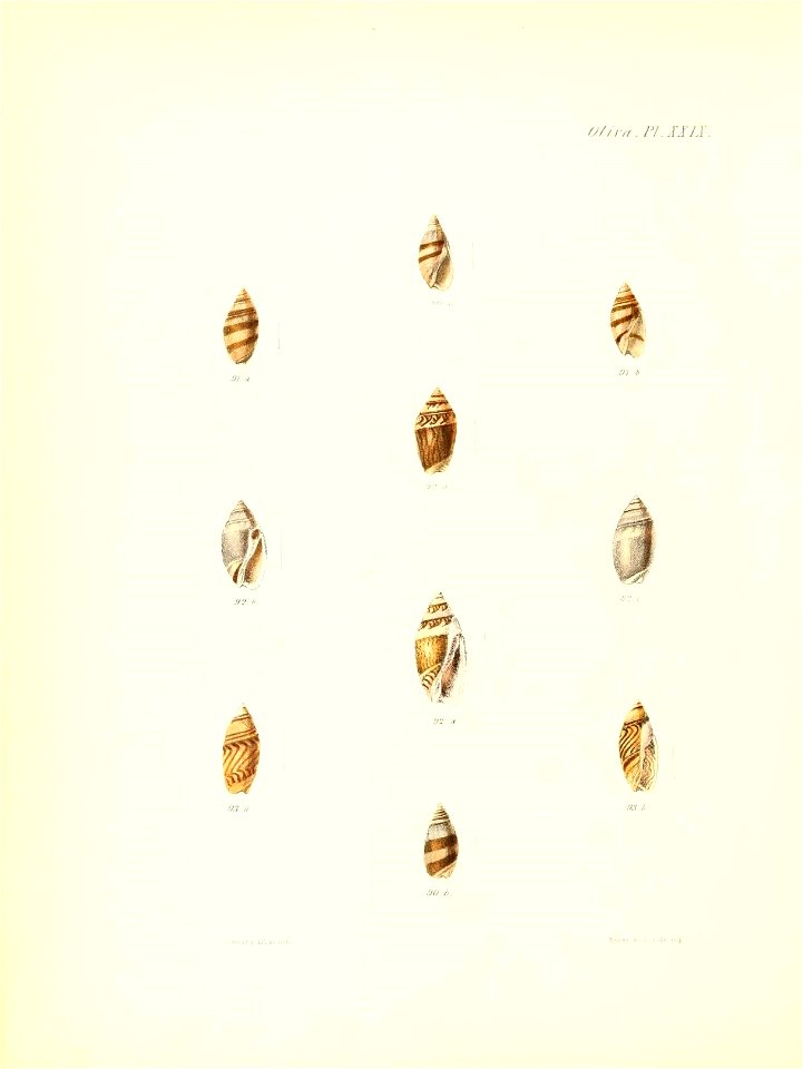 n429_w1150