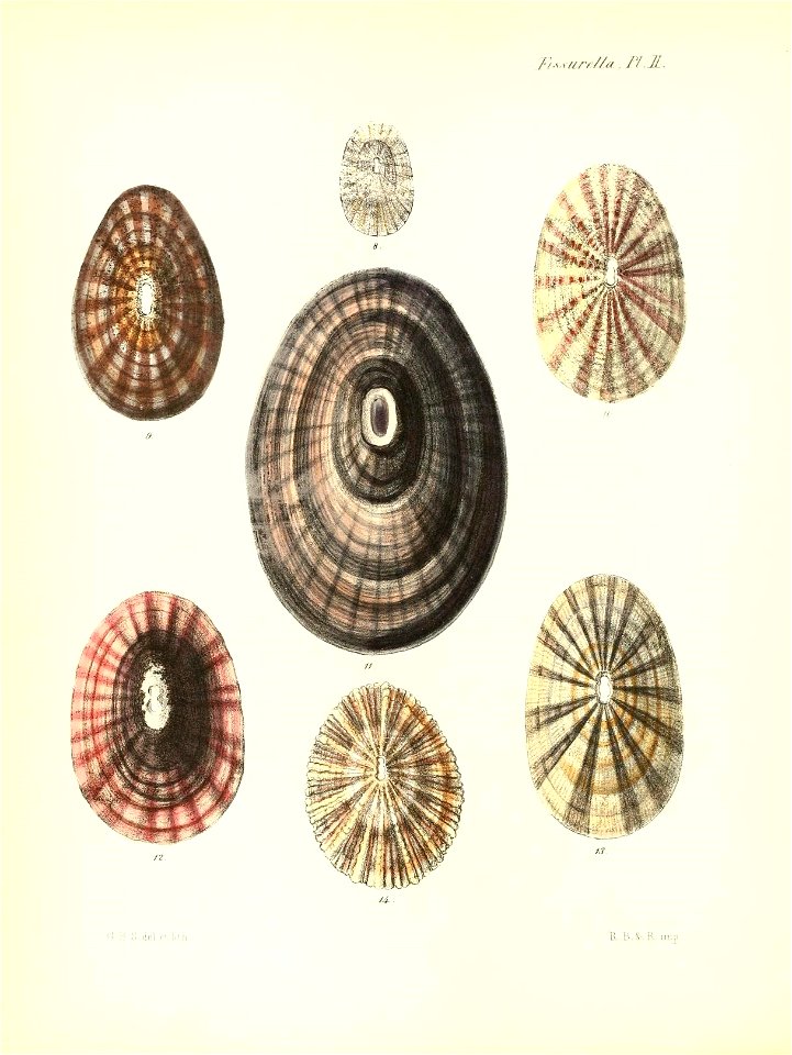n107_w1150