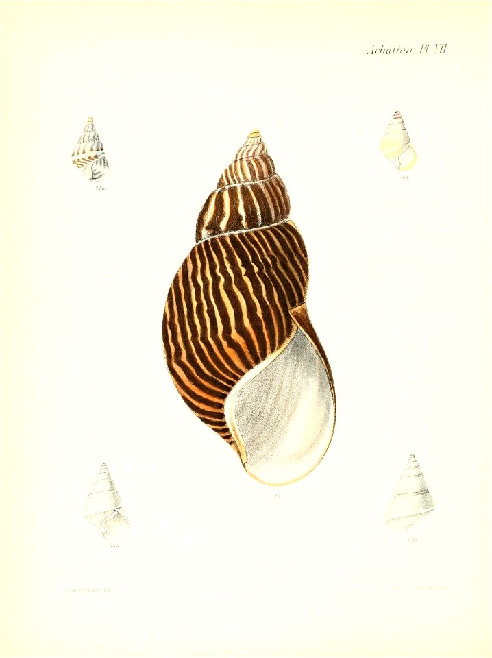 n407_w1150