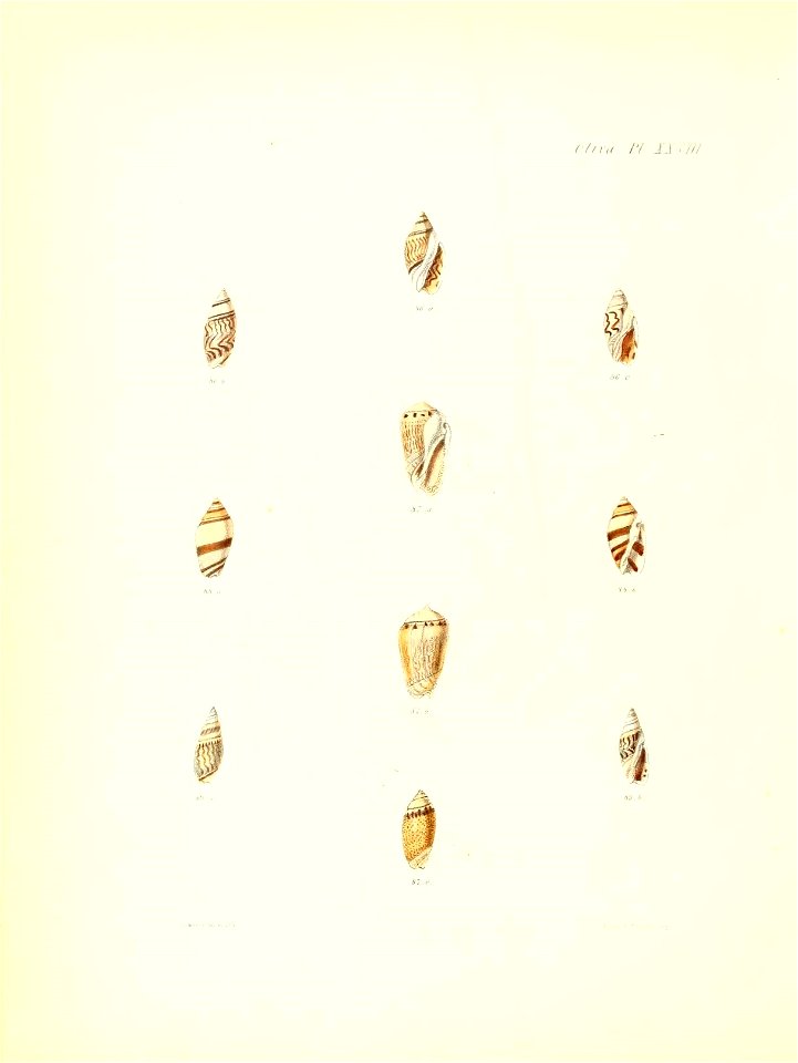 n425_w1150