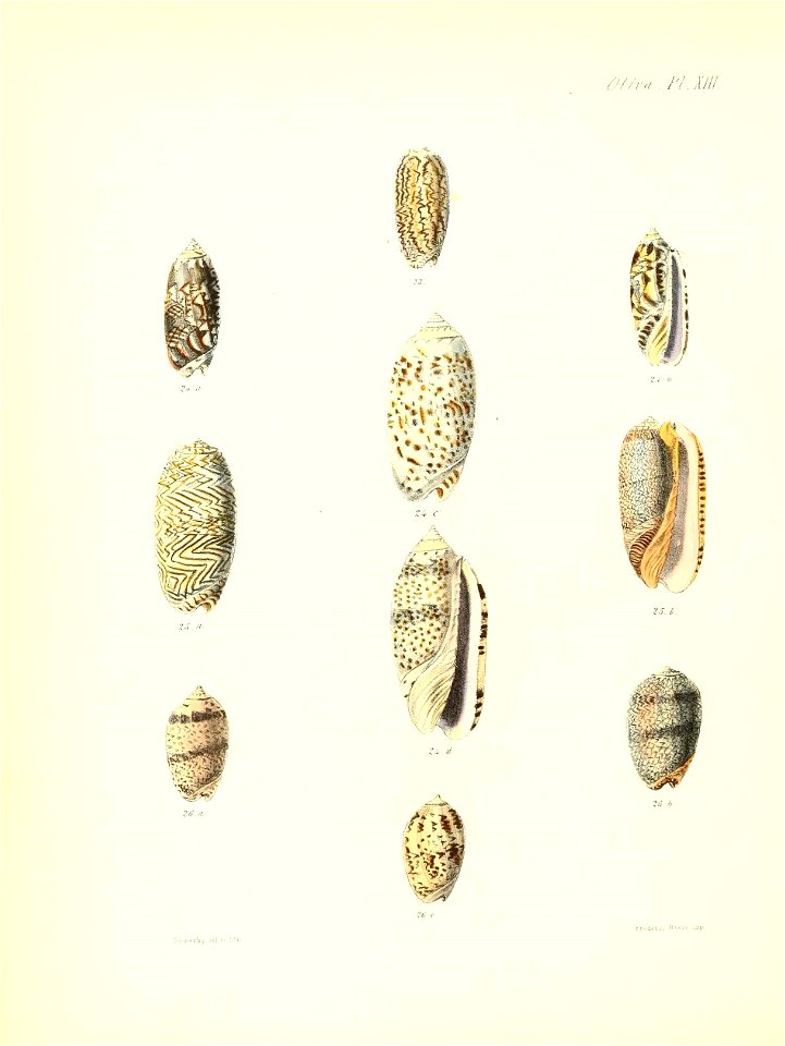 n365_w1150