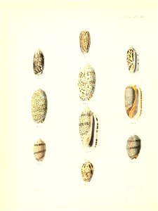 n365_w1150