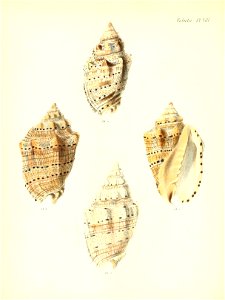 n39_w1150