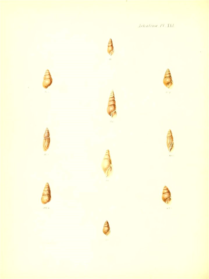 n465_w1150
