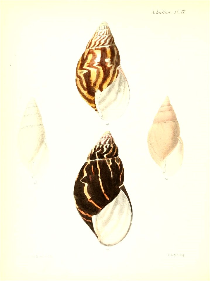 n403_w1150