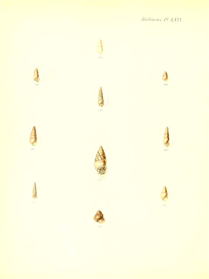 n331_w1150