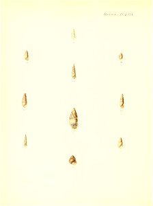 n331_w1150