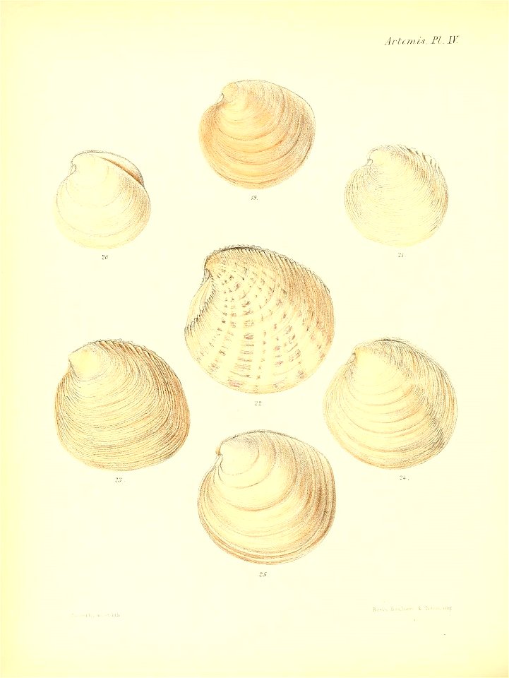 n231_w1150