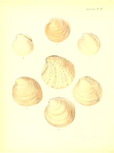 n231_w1150