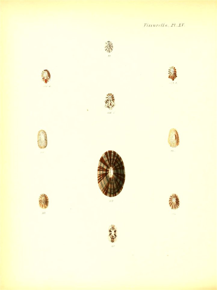 n159_w1150