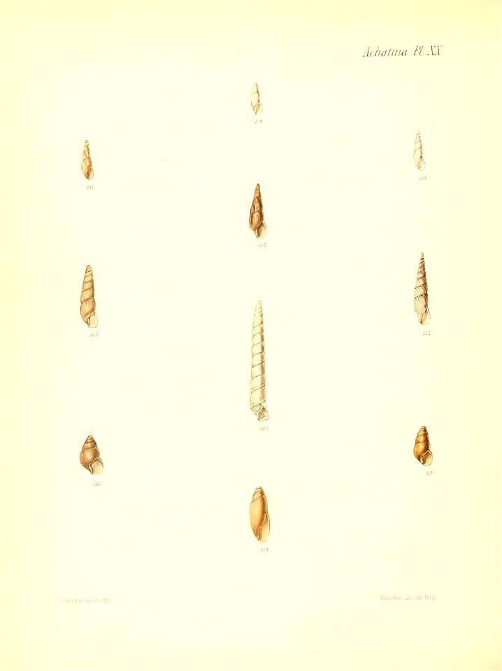 n461_w1150