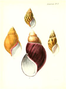 n399_w1150