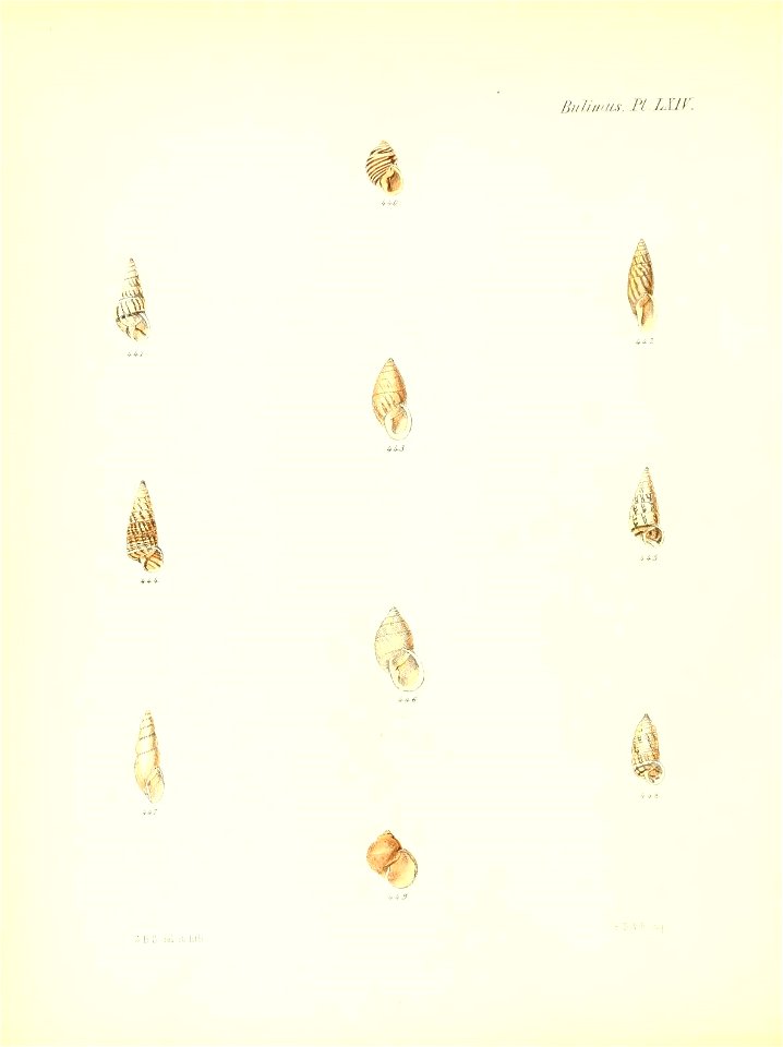 n265_w1150