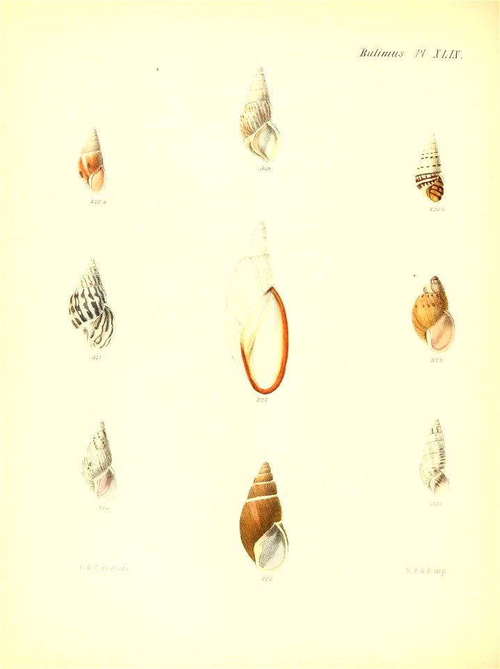 n205_w1150