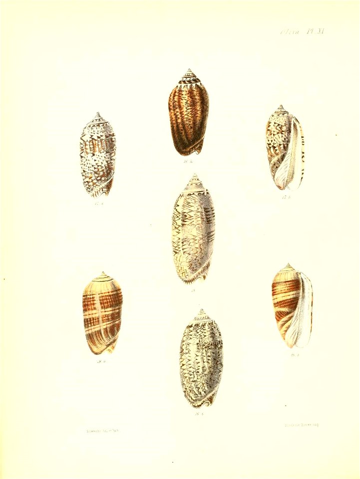 n357_w1150